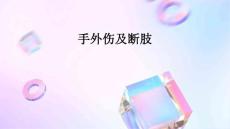 手外伤及断肢