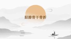 胫腓骨干骨折
