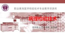 乳腺分泌物细胞形态