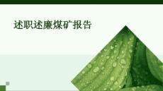 述职述廉煤矿报告