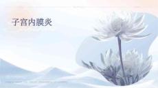 子宫内膜炎
