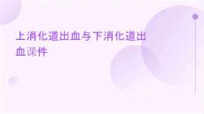 其上的消化道出血称上消化道出血其下的消化道出血称为下消化道出血课件