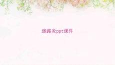 迷路炎ppt课件
