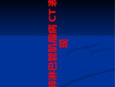 肺淋巴管肌瘤病CT表现培训课件