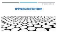 脊索瘤微环境的调控网络