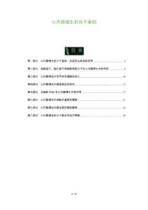 心内膜增生的分子基础