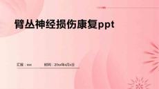 臂丛神经损伤康复ppt
