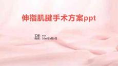 伸指肌腱手术方案ppt