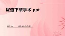 尿道下裂手术 ppt