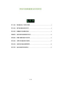 神经母细胞瘤复发机制研究