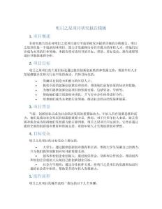 明日之星項目研究報告模板