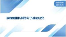 尿路梗阻机制的分子基础研究