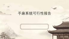 手麻系统可行性报告