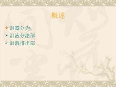 慢性泪囊炎.ppt
