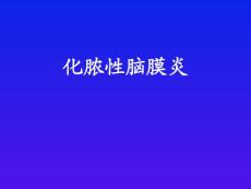 -化脓性脑膜炎课件