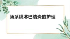 肠系膜淋巴结炎的护理1