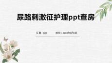 尿路刺激征护理ppt查房1