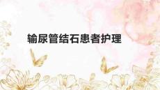输尿管结石患者护理