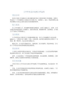 上半年-社會計出納工作總結
