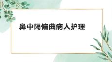 鼻中隔偏曲病人护理1