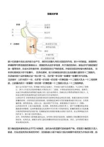 胆囊炎护理