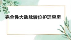 完全性大动脉转位护理查房2