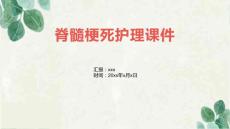 脊髓梗死护理课件