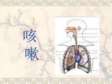 咳嗽课件_