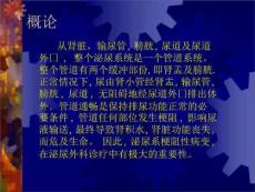 泌尿系梗阻尿路梗阻PPT课件.ppt