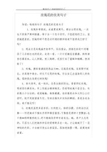 玫瑰花的優(yōu)美句子