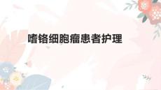 嗜铬细胞瘤患者护理