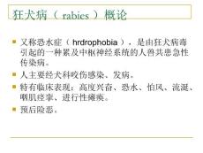 狂犬病小狗可爱但要远离狂犬病哦.ppt