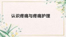 认识疼痛与疼痛护理