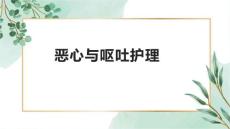 恶心与呕吐护理