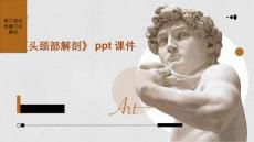 《头颈部解剖》课件