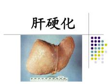 肝硬化