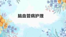 脑血管病护理