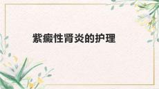 紫癜性肾炎的护理