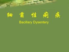 细菌性痢疾-课件