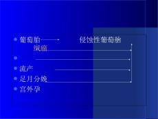 绒毛膜上皮癌课件.ppt