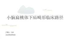 小脑扁桃体下疝畸形临床路径PPT