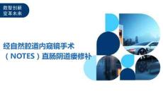 经自然腔道内窥镜手术（NOTES）直肠阴道瘘修补