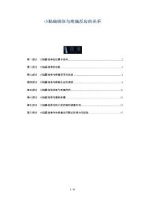小脑扁桃体与疼痛反应的关系