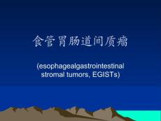 食管胃肠道间质瘤演示课件