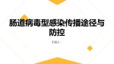 肠道病毒型感染的传播途径与防控