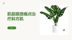 肌筋膜激痛点治疗斜方肌