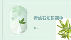 肾结石知识课件