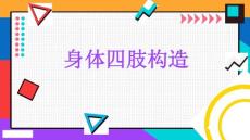 身体四肢构造