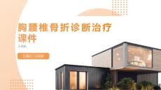 胸腰椎骨折诊断治疗课件
