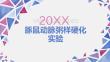 豚鼠动脉粥样硬化实验